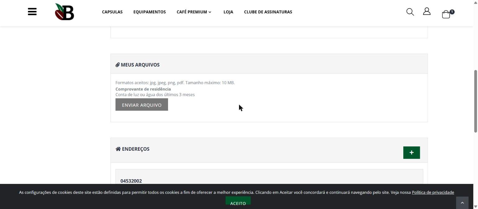 Bloco Meus arquivos na Minha Conta, antes do envio